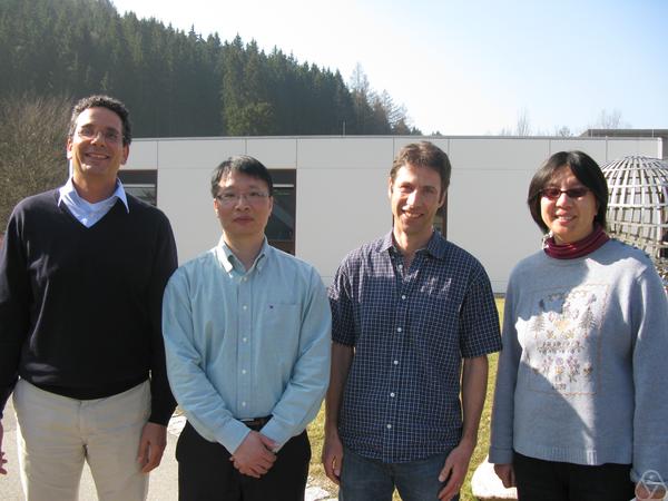 Axel Munk, T. Tony Cai, Peter Bühlmann, Bin Yu