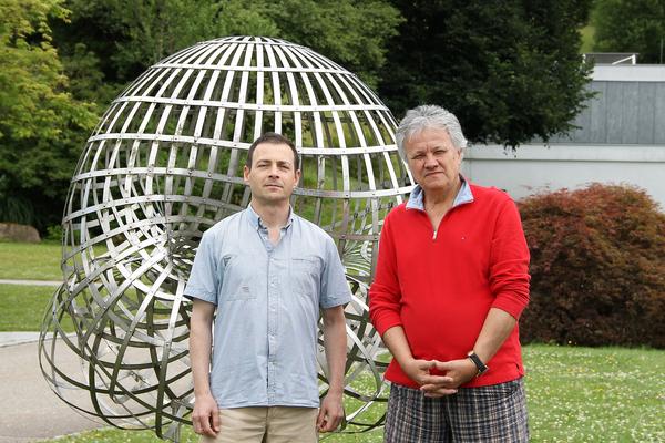 Mihai-Marius Tibar, Laurentiu Paunescu