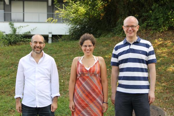 Mihalis Dafermos, Carla Cederbaum, Hans Ringström