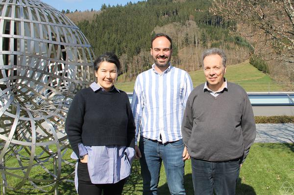 Sakura Schafer-Nameki, David Reutter, Christoph Schweigert